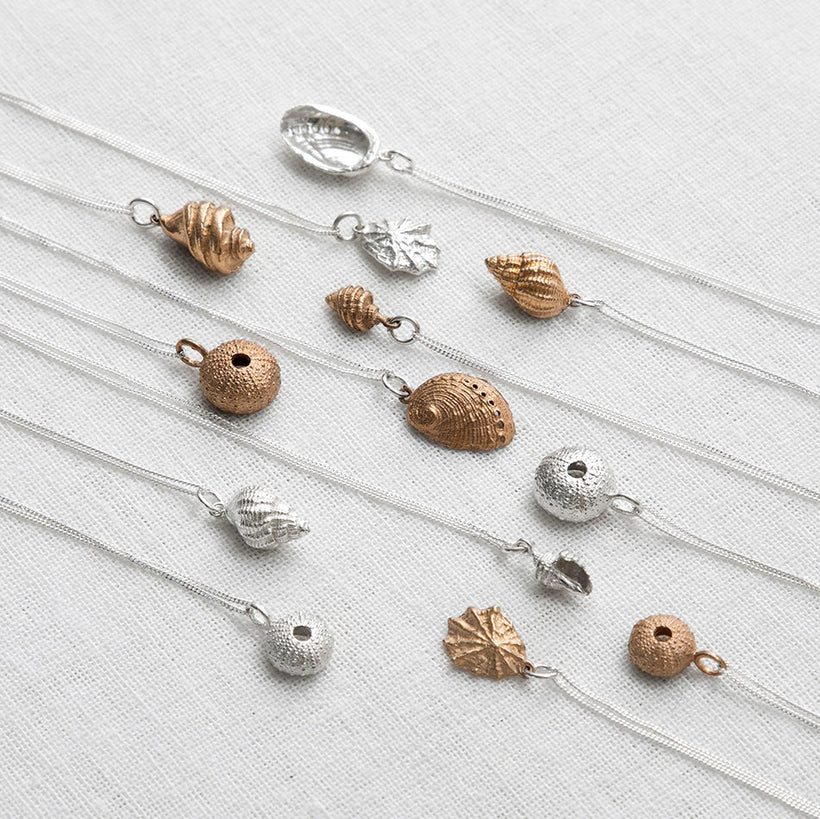 Sea Shells