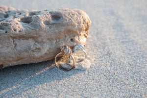 Girdled Dogwhelk Shell Ring