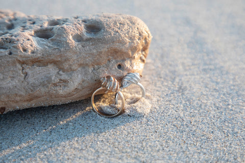 Girdled Dogwhelk Shell Ring