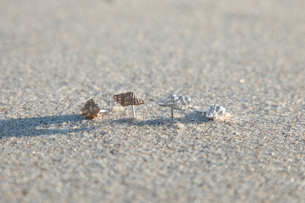 Sea Shell Studs
