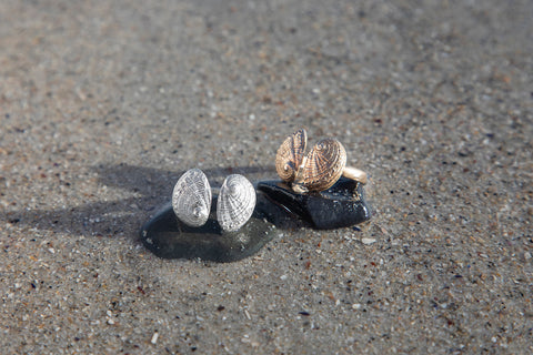 Double Perlemoen Ring