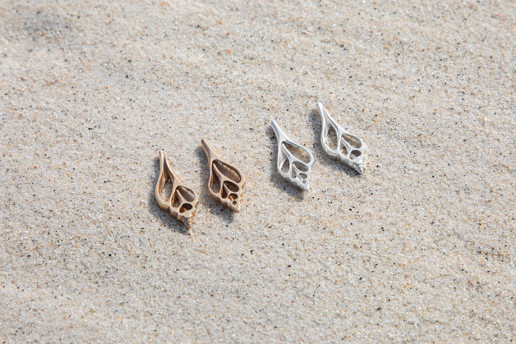 Small Laevistrombus canarium Skeleton Studs