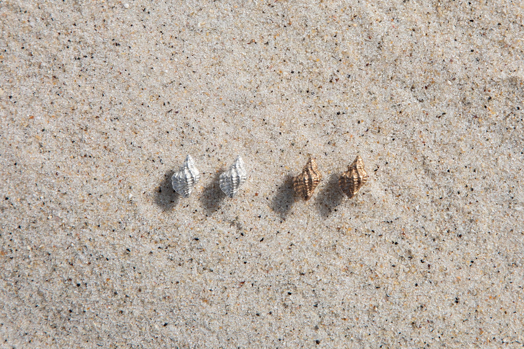 Sea Shell Studs