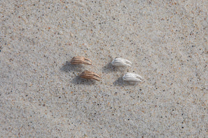 Crab Claw Studs