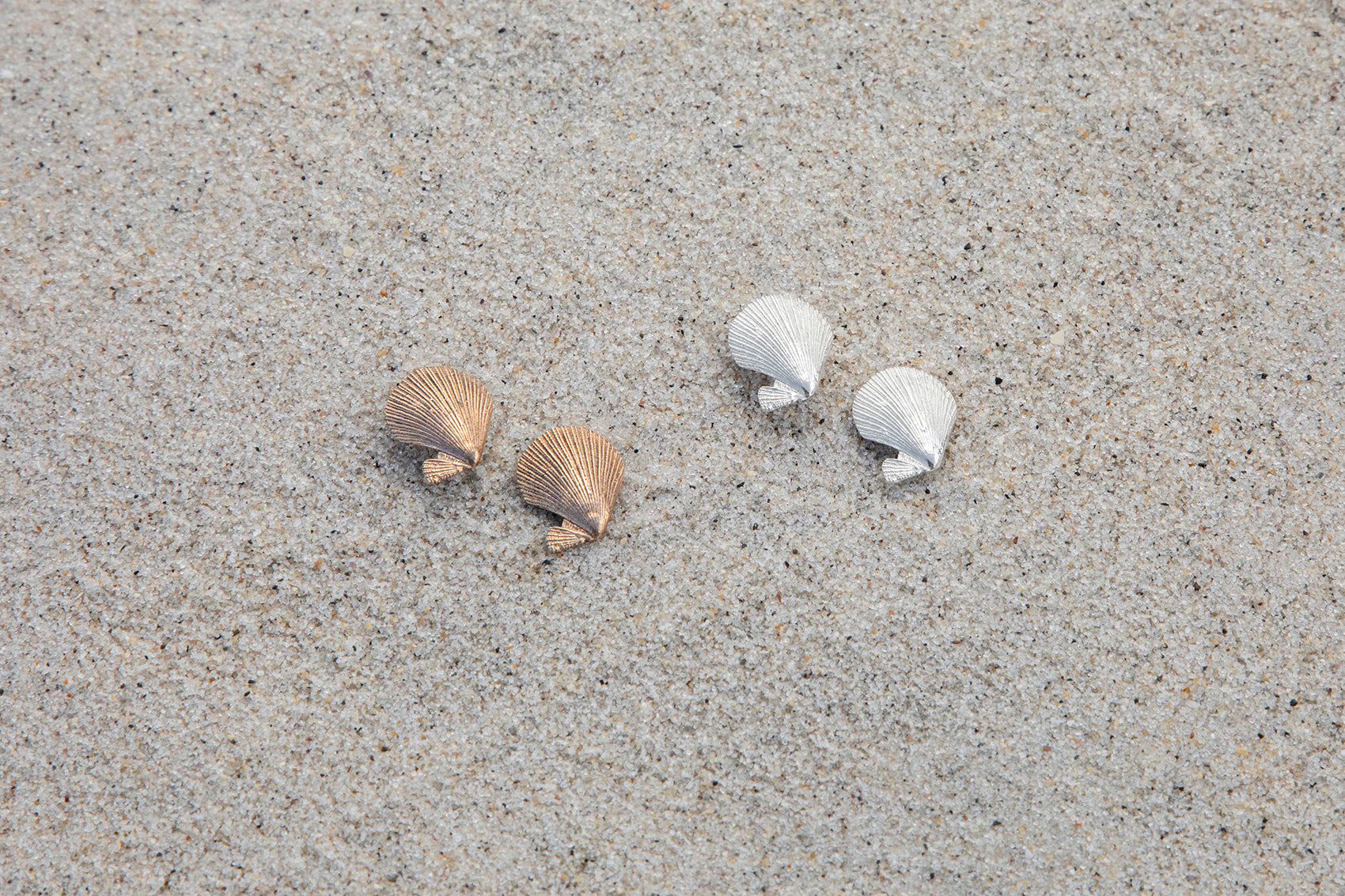 Dwarf Fan Shell Studs