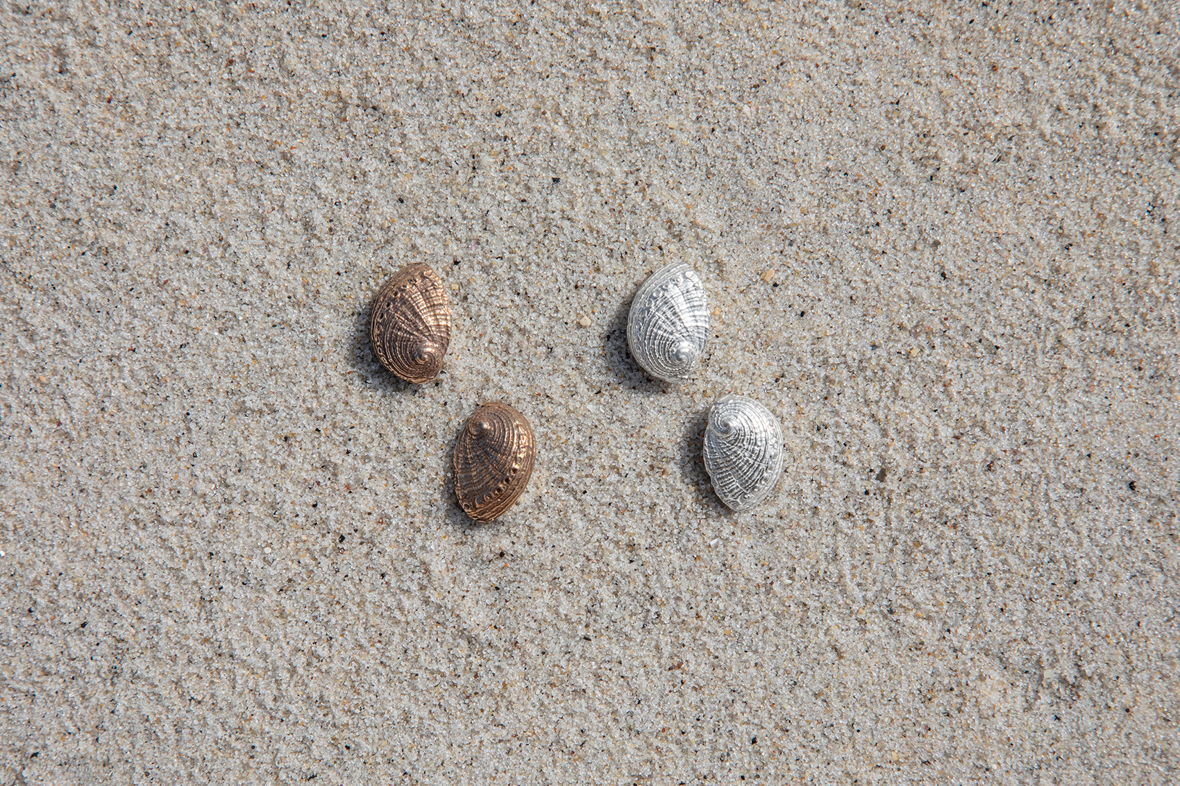 Perlemoen Studs