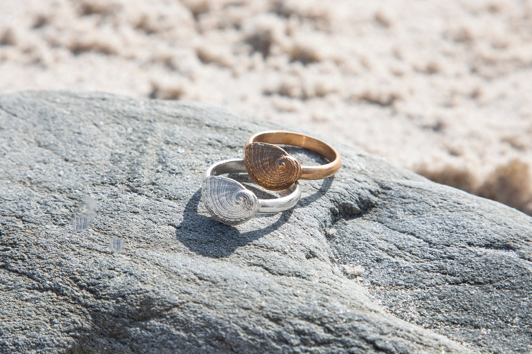 Perlemoen Shell Ring