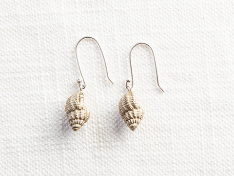 Brass Shell #1 earrings