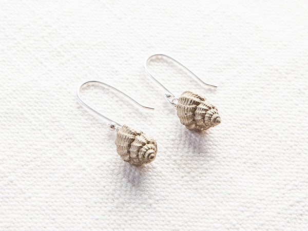 Brass Shell #1 earrings