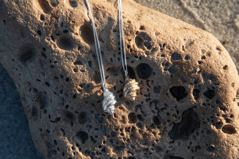 Girdled Dogwhelk Shell Pendants