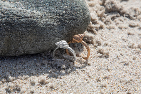 Lattice Dogwhelk shell Ring