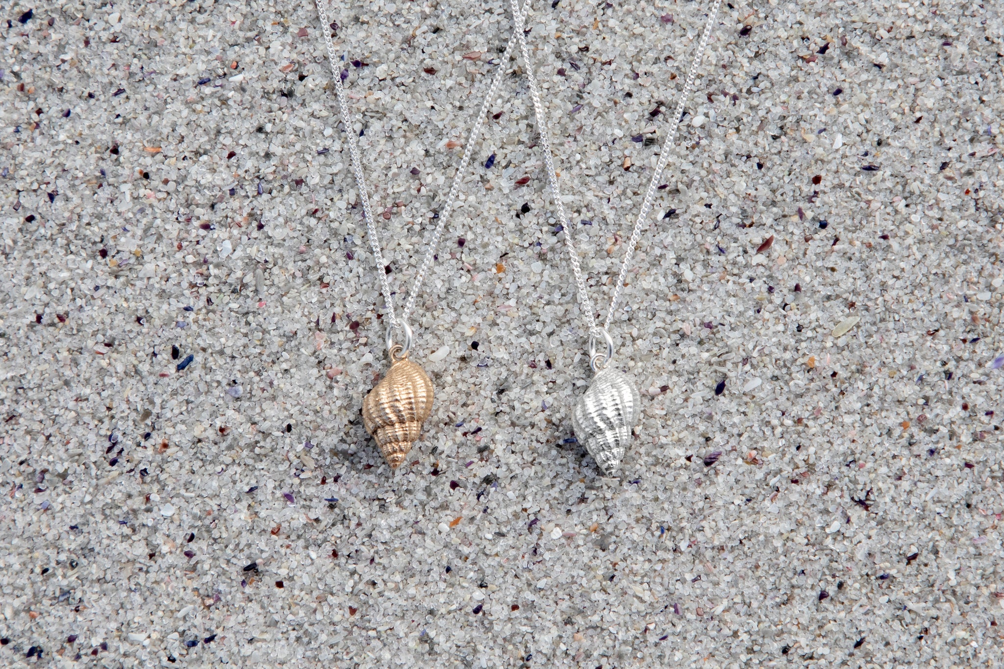 Lattice Dogwhelk shell Pendants
