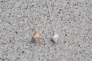 Lattice Dogwhelk shell Pendants