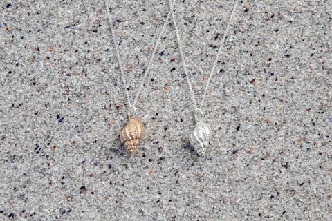 Lattice Dogwhelk shell Pendants