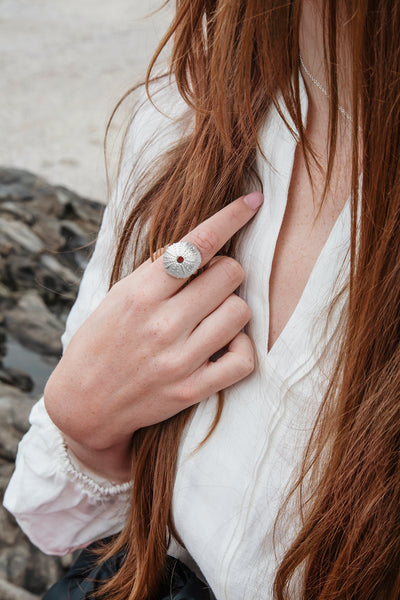 Large Sea Urchin Rings