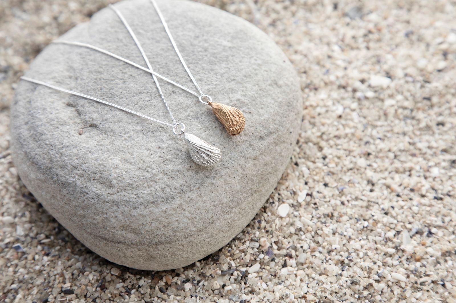 Ribbed Mussel shell pendant
