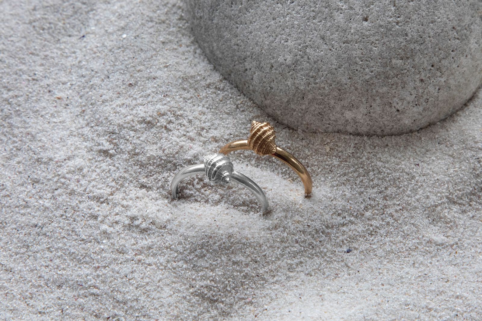 Tiny Girdled Dogwhelk shell stacking rings