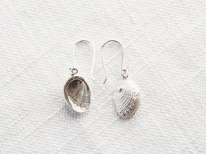 Perlemoen shell earrings