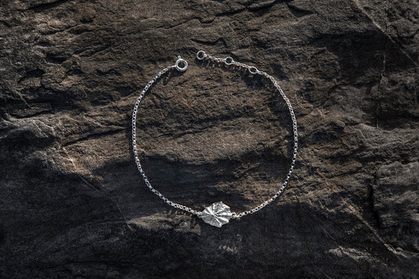 Limpet shell bracelet