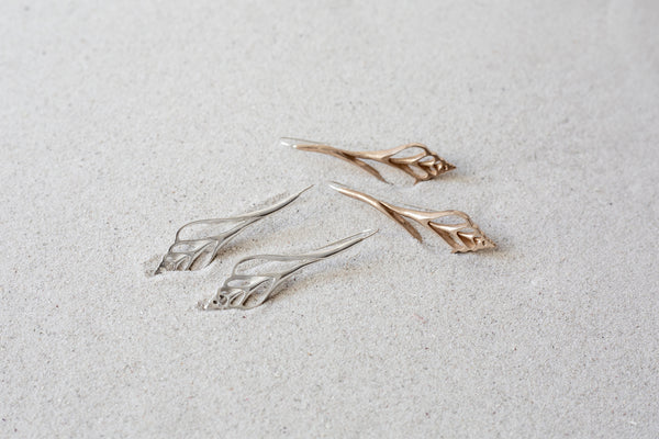 Laevistrombus canarium Shell Earrings